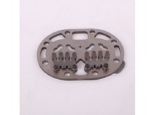 Carrier 06E valve plate (06EA404944)